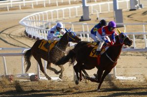 Best Best Odds for Horse Racing: Pro Tips to Win in India (2027)